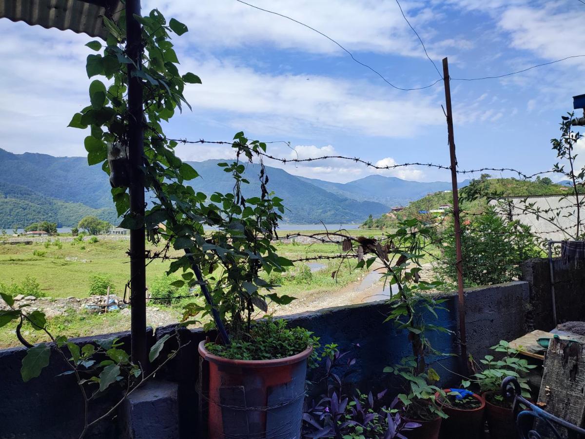 Tranquil Water Guest House Pokhara Eksteriør billede